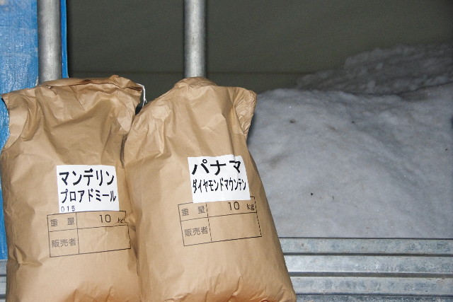 コーヒーを熟成させる雪室って何？